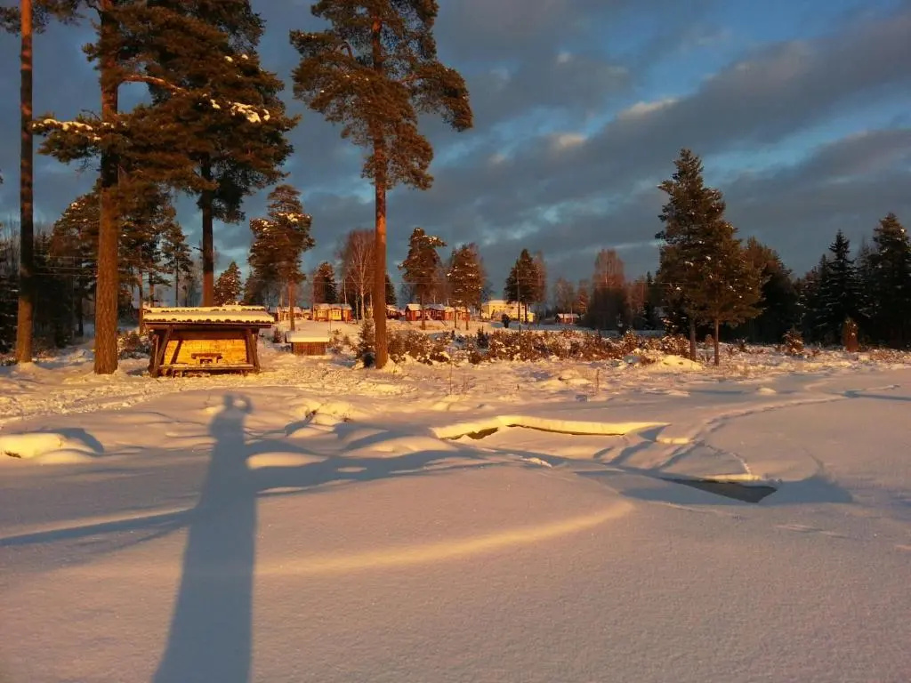 Cottage