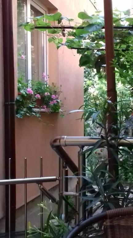 Guest House Nedelchevi
