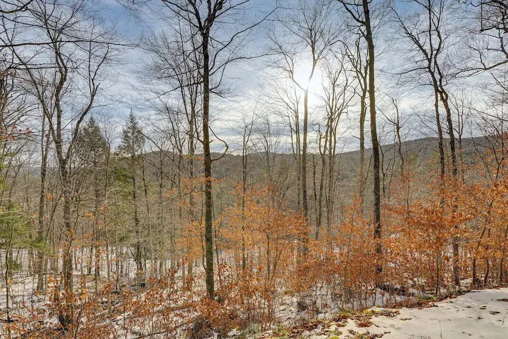 Near Okemo & Killington: Home w/ Sauna & Fireplace