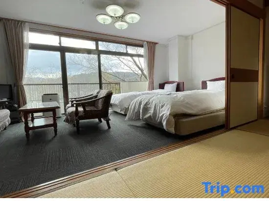 Standard room with city view