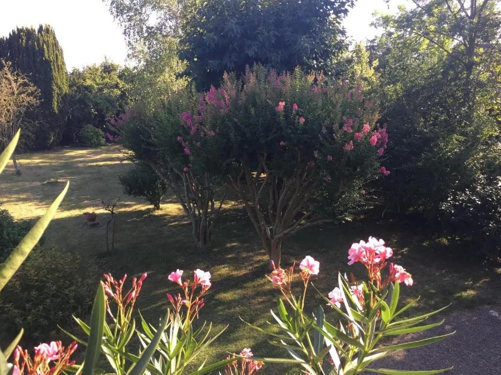 Standard Double room with garden view (full double bed)