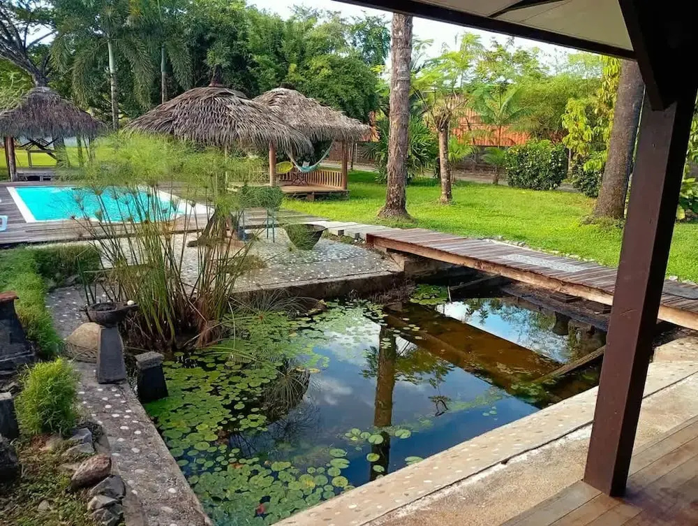 La Villa des Palmiers Bleus - Piscine Jardin