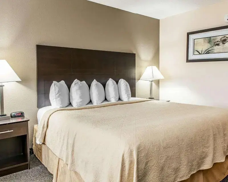 Quality Inn & Suites  Mattoon Area - Chambres