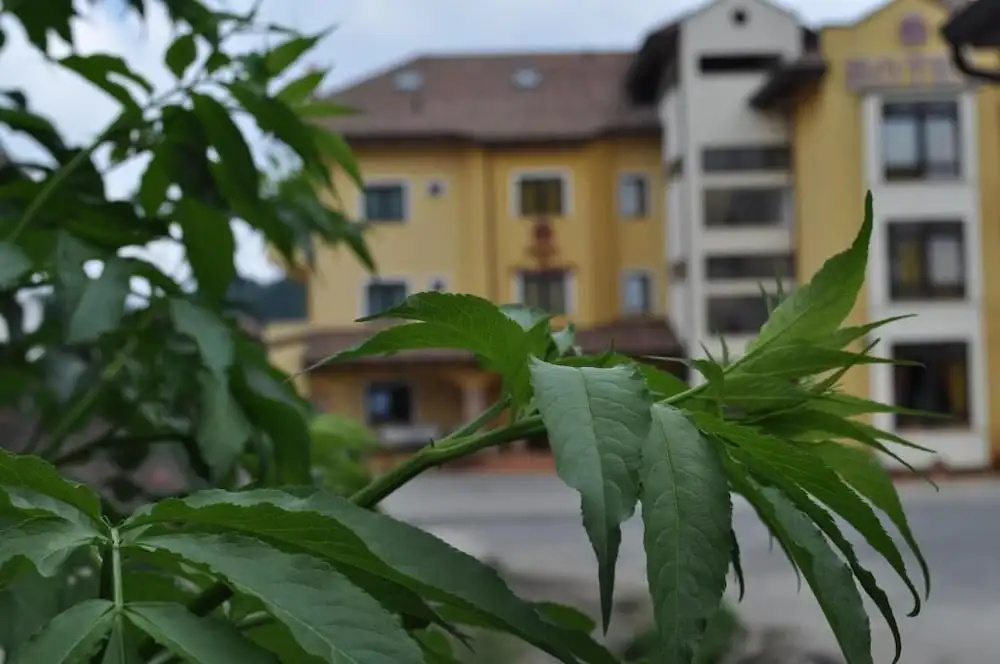 Hotel Duca di Calabria - Général