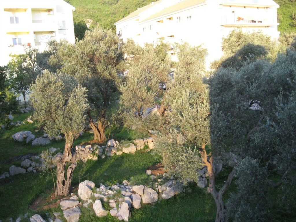 Hotel photo 37