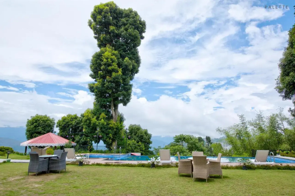 Pine Tree Spa Resort - фото 14