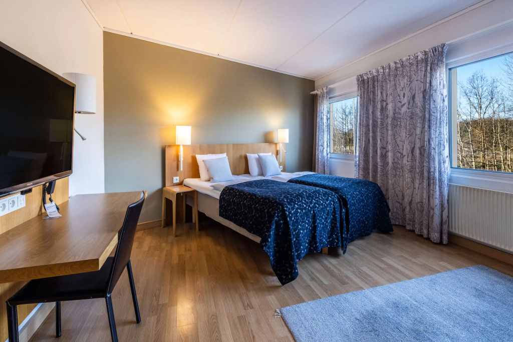 Superior Double room (twin beds)