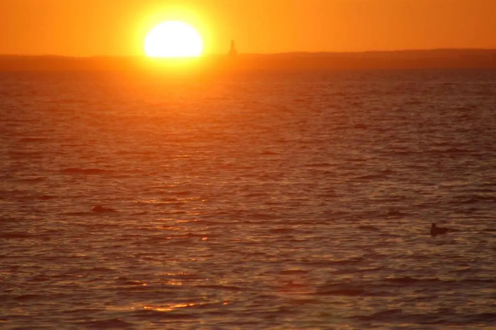 Ostsee-Ferienoase-3-Raum-App-Typ-1