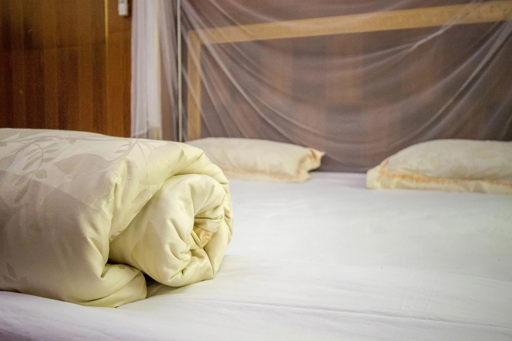 Hibis Hotel - Chambres