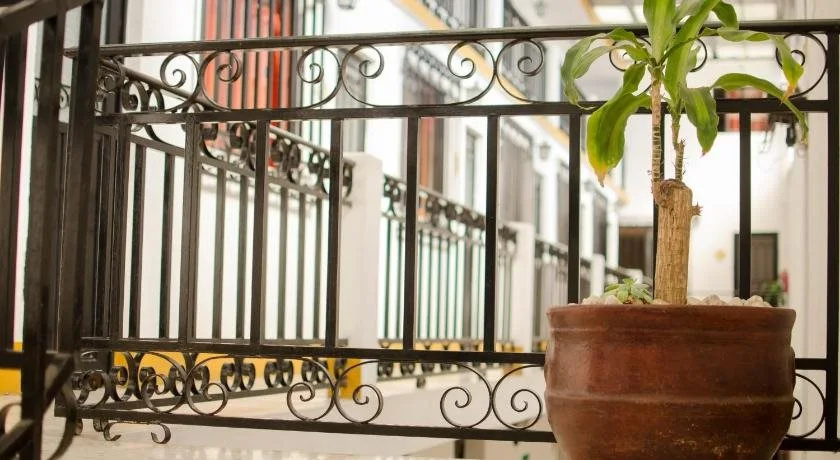 Balcony & Terrace