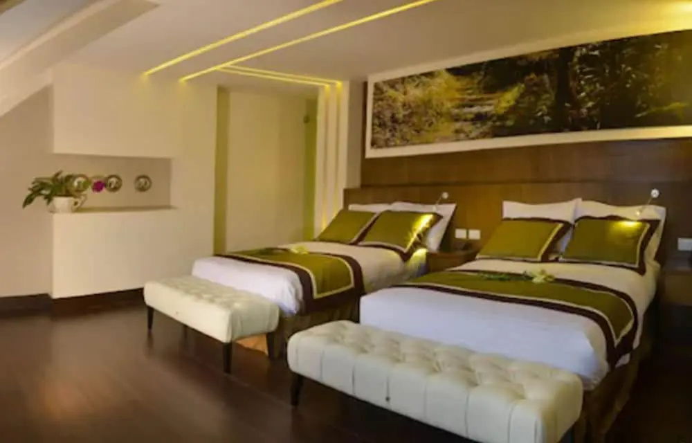 Deluxe Double room (twin beds)