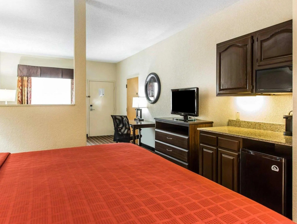 1 Bedroom Suite