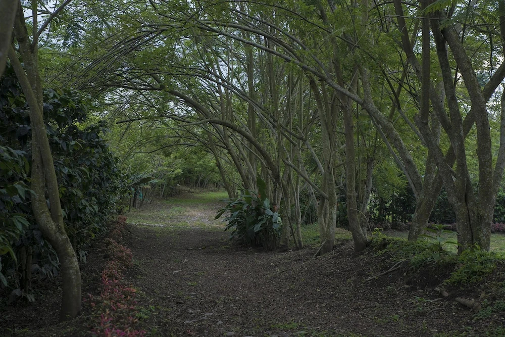 Finca Hotel Los Aperos