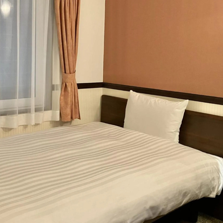 Toyoko Inn Kintetsu Nara Ekimae - Général