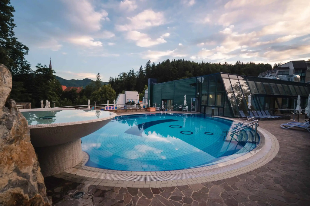 Hotel Švicarija - Terme Dobrna - Général