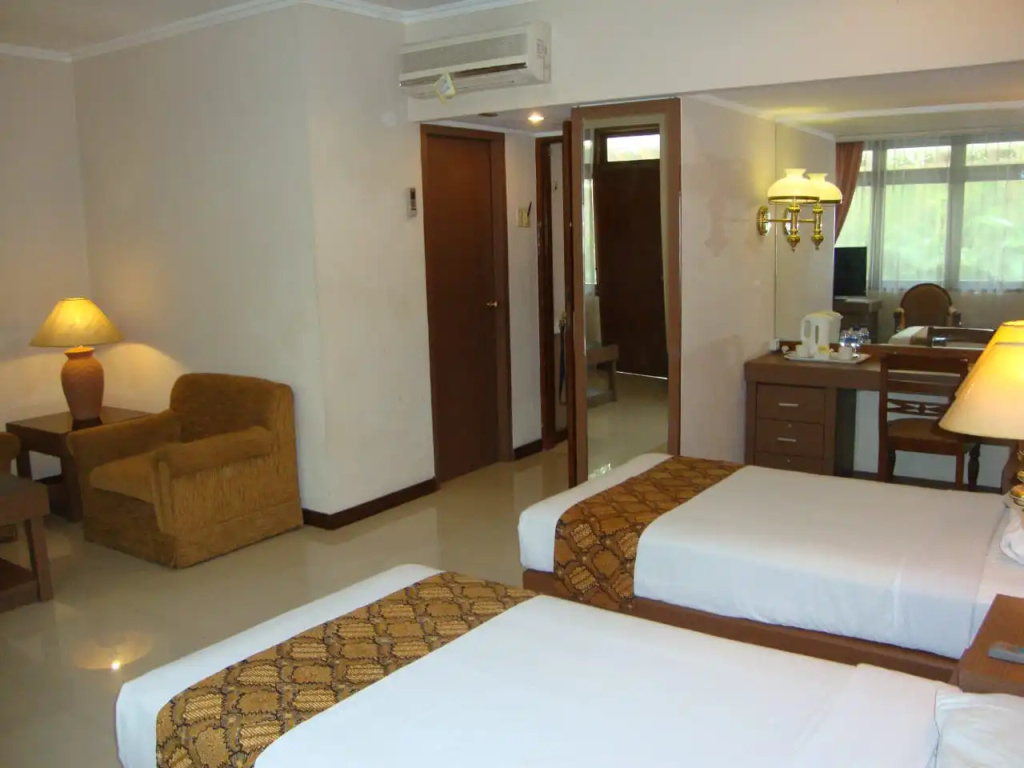 Deluxe Double room (twin beds)