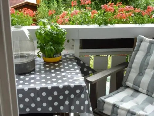 Balcony & Terrace