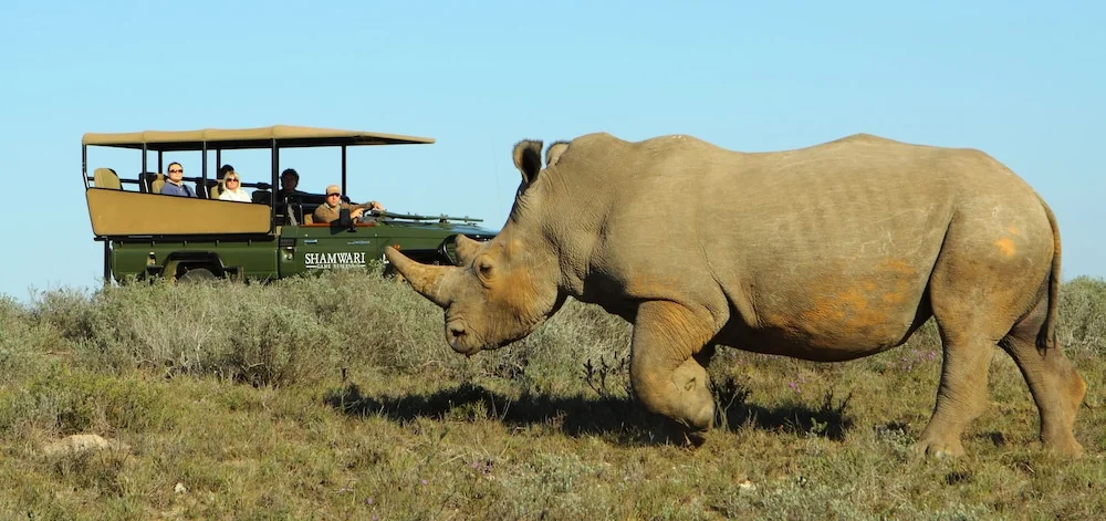 Shamwari Sarili Lodge - фото 33