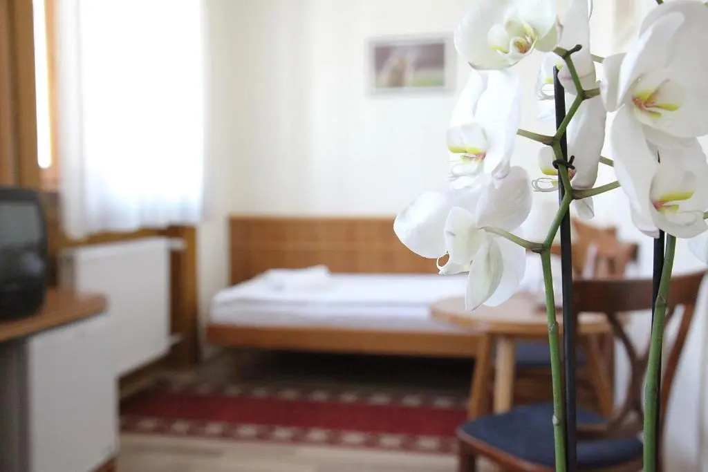 Hotel Corvinus - Chambres
