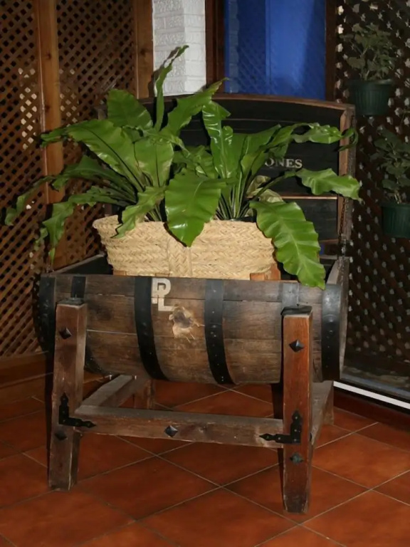 Hotel El Hidalgo - Général