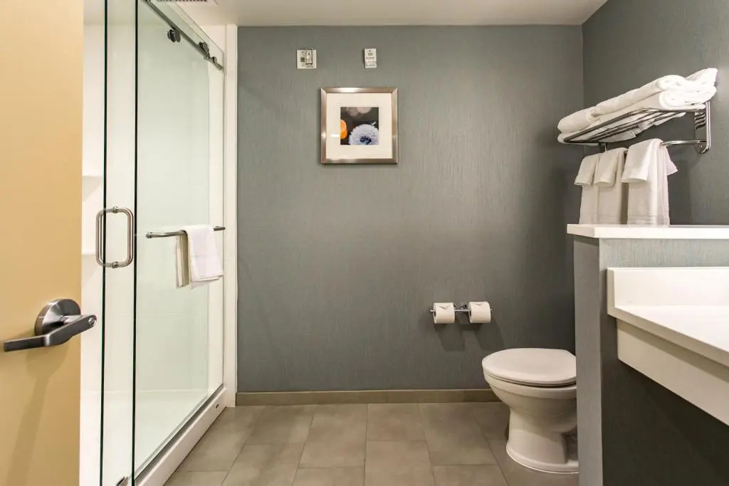 Holiday Inn Hotel & Suites Chattanooga Downtown by IHG - Chambres