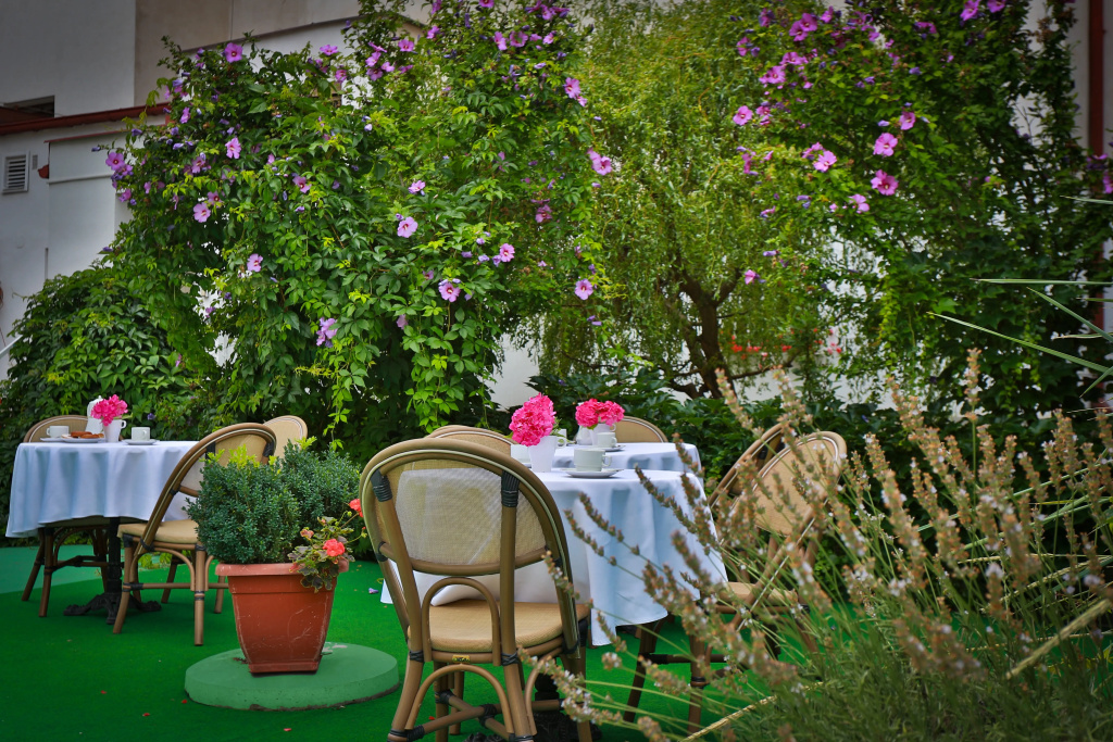 Hotel photo 12