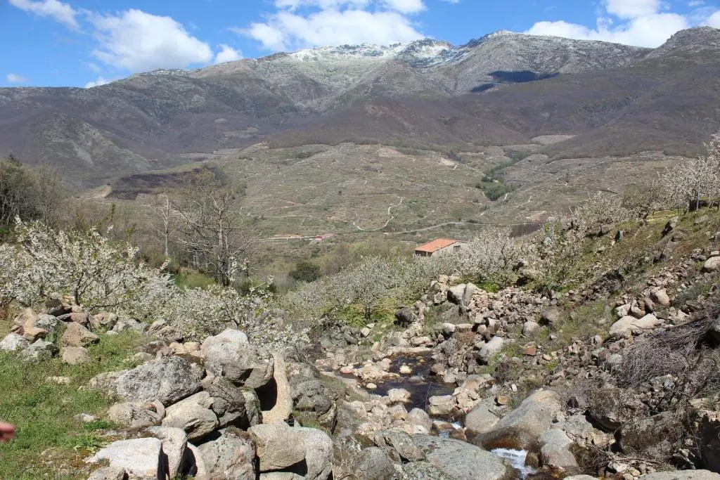 La Escondida