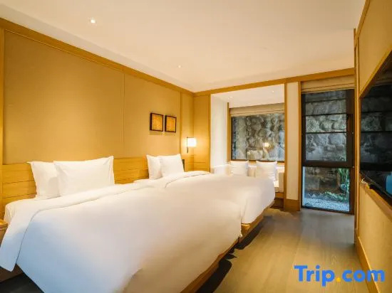 Deluxe Double room (twin beds)