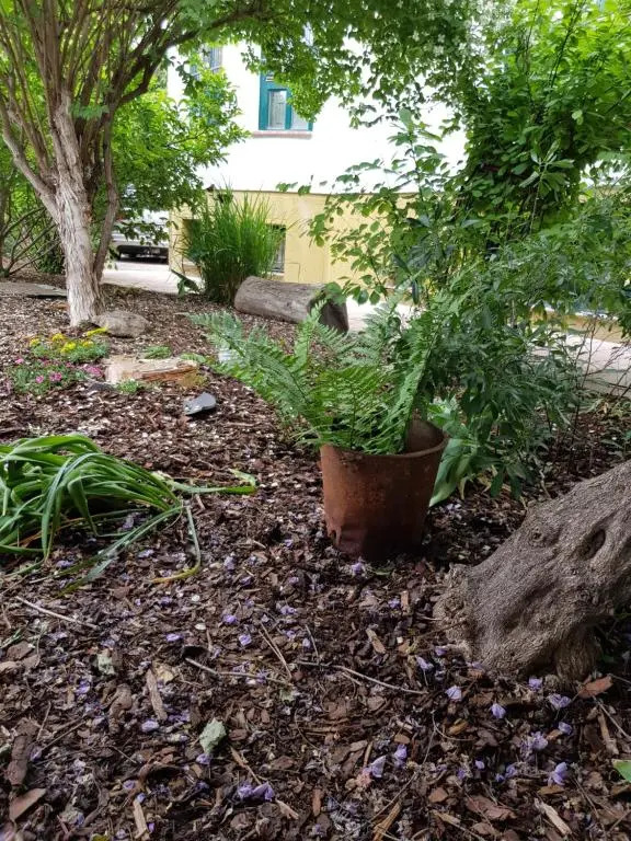 Borostyánkő Vendégház - фото 8