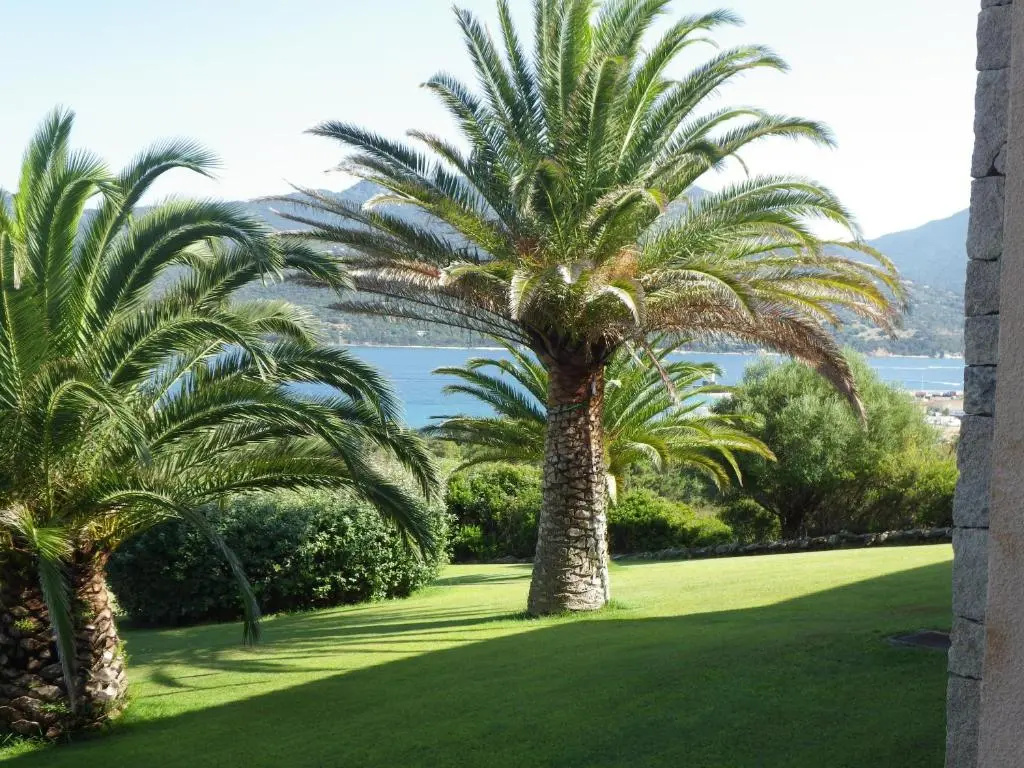Marina di Fiori - Chambres