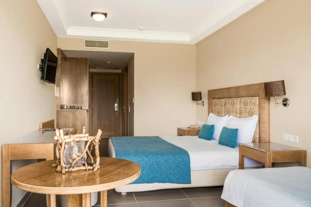 Standard Double room with mountain view (full double bed)