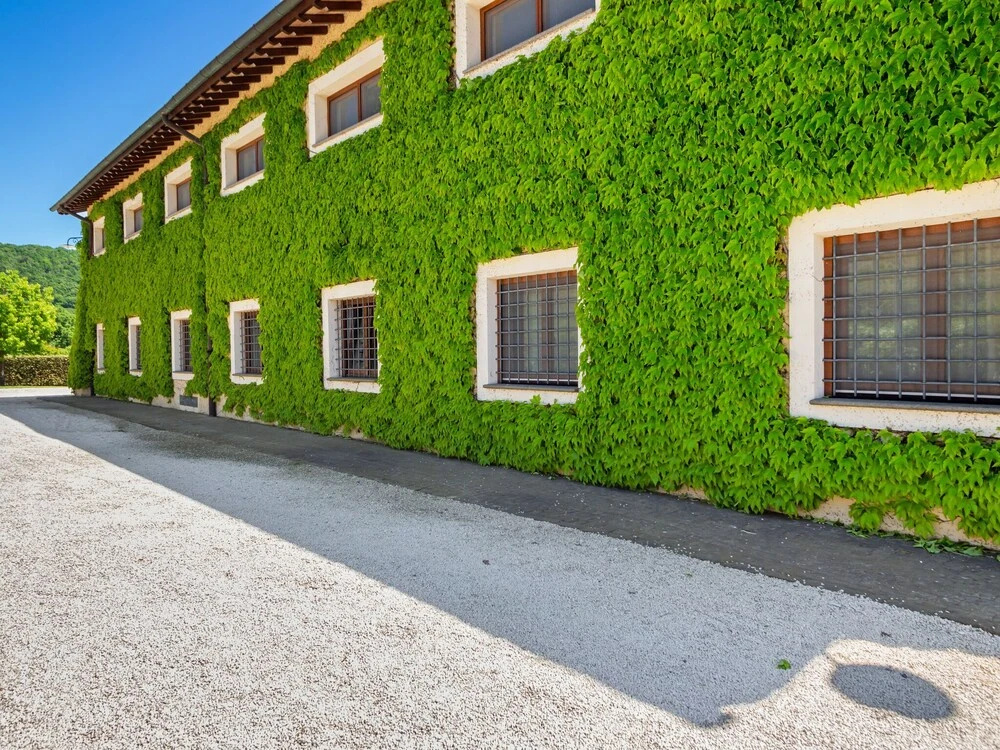 Scenic Apartment in Rome near Lago di Martignano