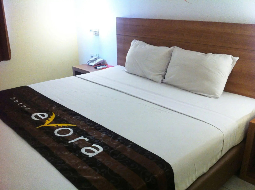 Evora Hotel - Général
