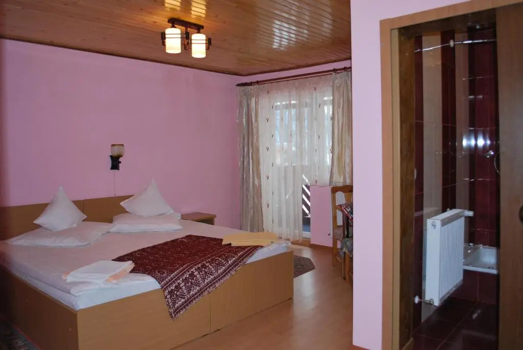 Pensiunea Alexandra - Chambres