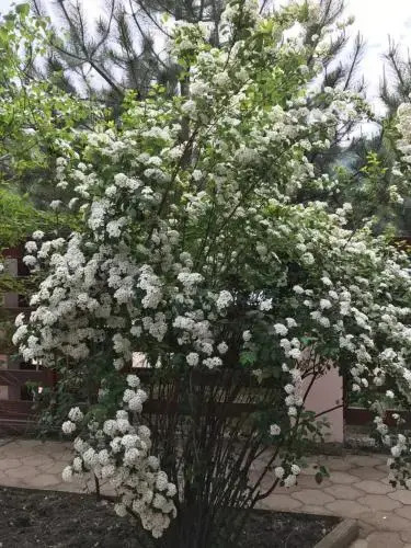 Teremok Guest House - фото 5