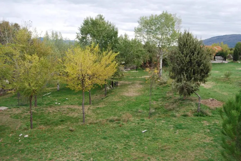 Camping El Picachuelo