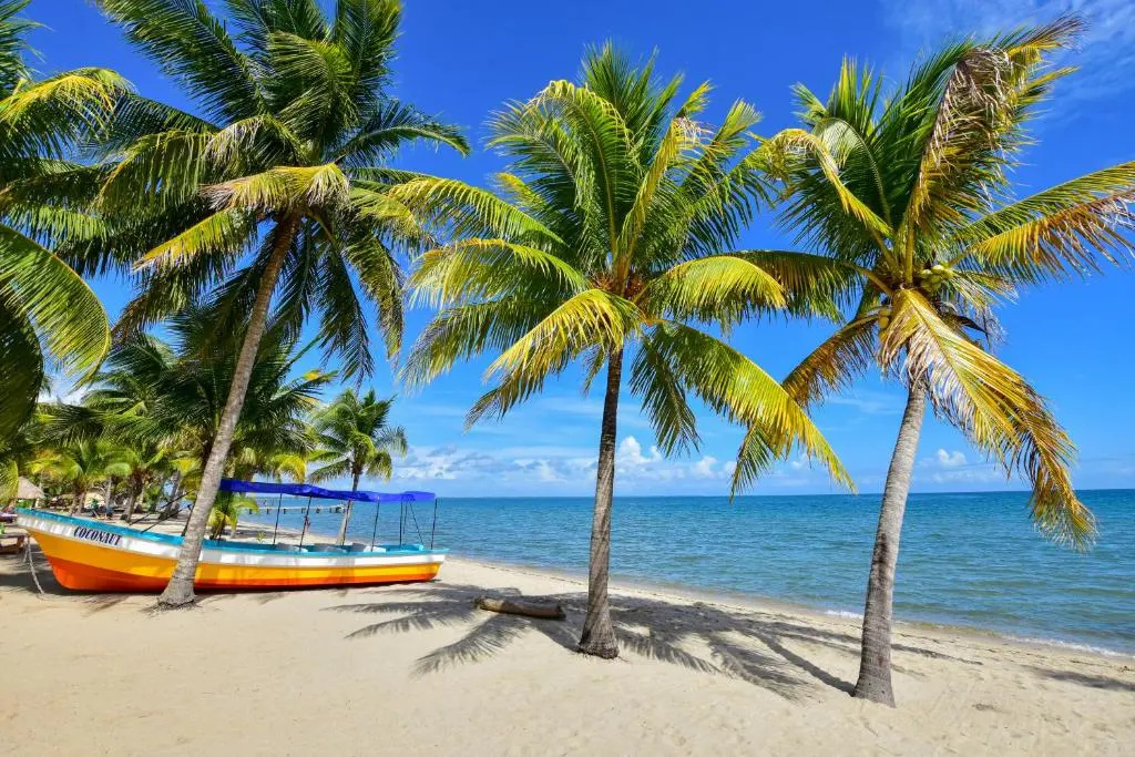 Palm Cove Cabins at Coconut Row - Chambres