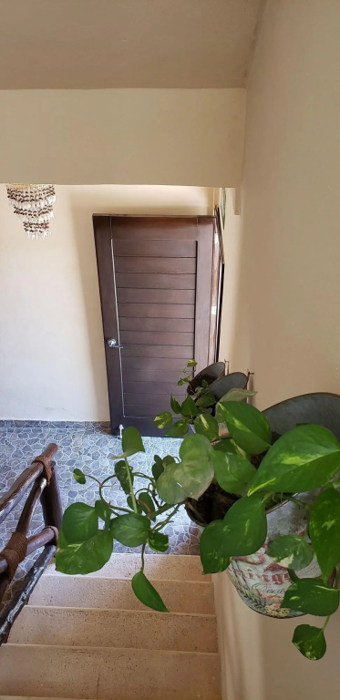 Hotel photo 48