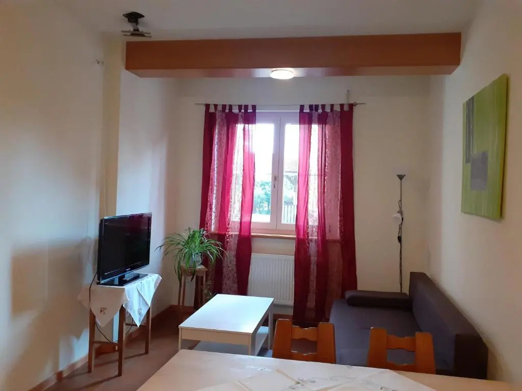 Apartment with garden view