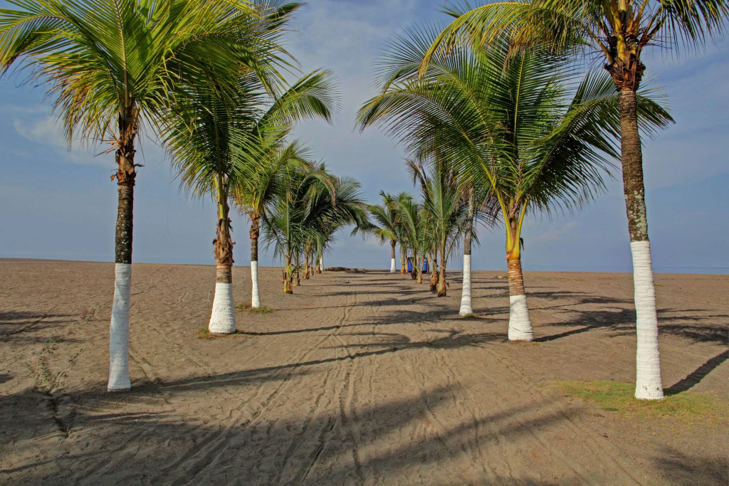 Beach & Waterfront