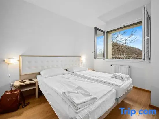 1 Bedroom Apartment with balcony