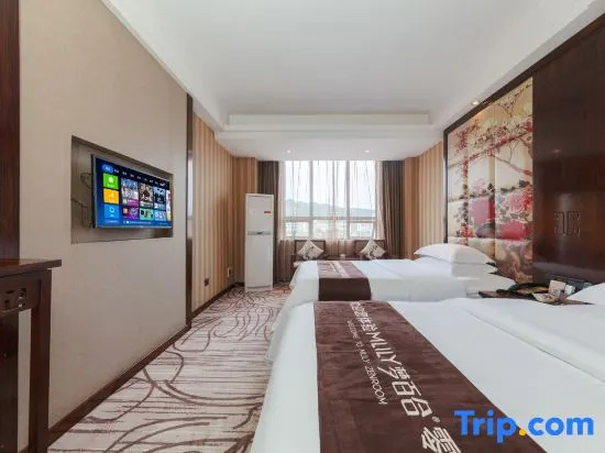 Fulante Boutique Hotel Zhangjiajie - Chambres