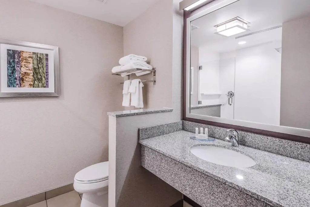 Fairfield Inn & Suites by Marriott Chicago Schaumburg - Chambres