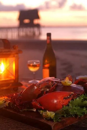 Kipungani Explorer — фото 4