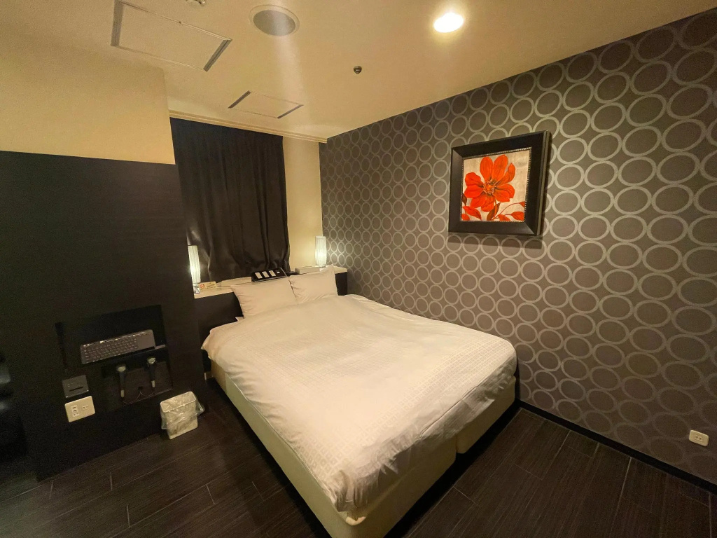 Standard Double room (full double bed)
