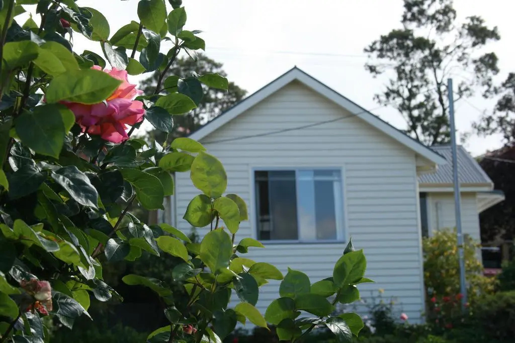 Trevallyn House - Général