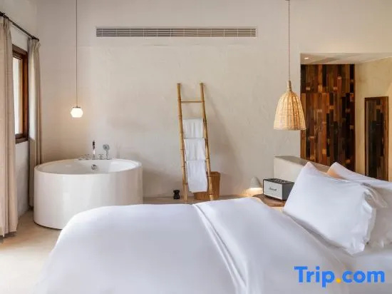 Deluxe Double room (twin beds)