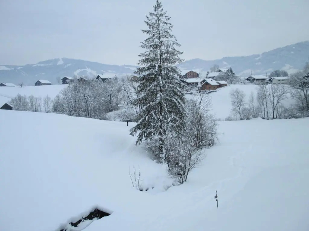 Haus Schneider