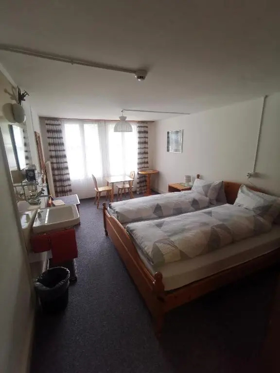 Standard Double room (full double bed)