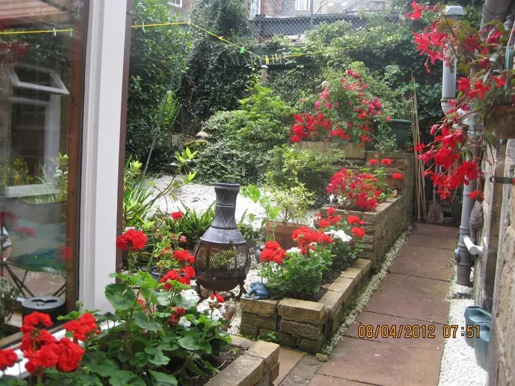 Amaryllis Guesthouse - Chambres
